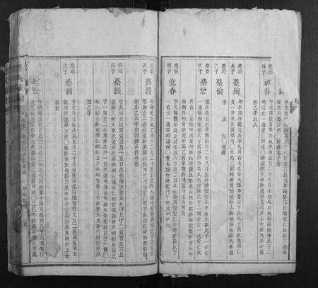 湖南蔡氏族谱-蔡氏族谱.pdf电子版预览图4