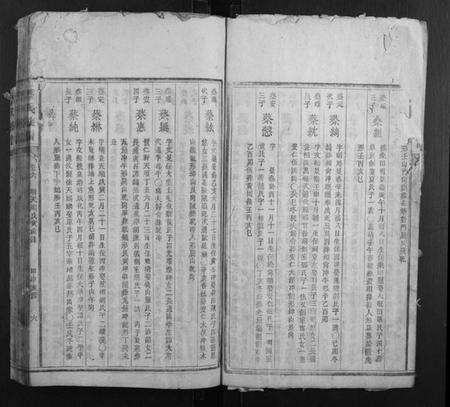 湖南蔡氏族谱-蔡氏族谱.pdf电子版预览图5