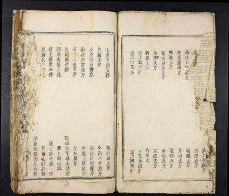 江西蔡氏族谱-蔡氏大成族谱[不分卷].pdf电子版预览图2