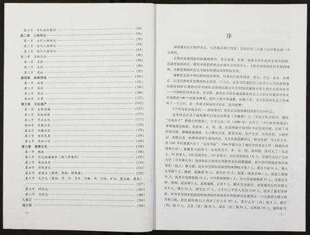 江西蔡氏族谱-南街蔡村志 [全1册].pdf电子版预览图2