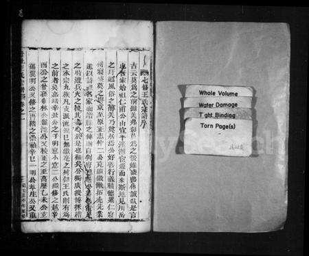 浙江王氏族谱-丹址王氏宗谱 [4卷].pdf电子版预览图1