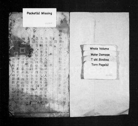 浙江王氏族谱-丹址王氏宗谱 [残卷].pdf电子版预览图1