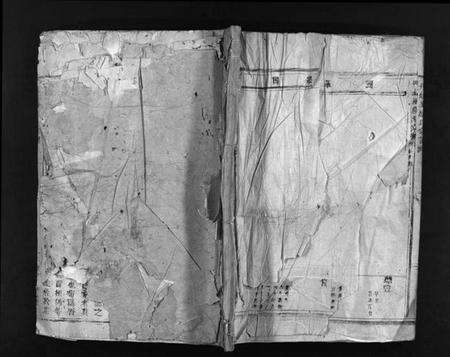 浙江应氏族谱-丹灶里应氏宗谱 [不分卷].pdf电子版缩略图