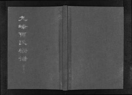 浙江曺氏族谱-九峰曺氏宗谱 [2卷].pdf电子版缩略图
