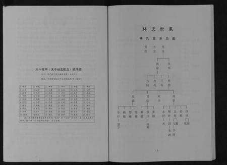 浙江林氏族谱-九牧林氏家乘[不分卷].pdf电子版预览图4