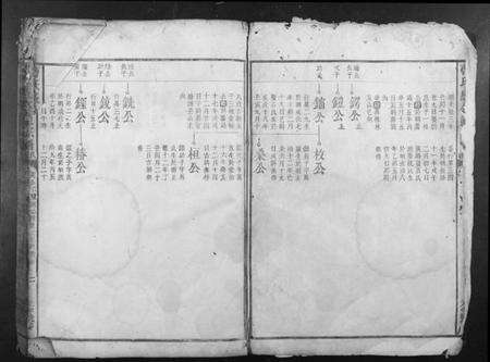 江西曹氏族谱-曹氏感公通宗谱民籍.pdf电子版预览图1