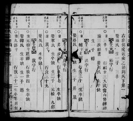 浙江张氏族谱-五云张氏宗谱 [残卷].pdf电子版预览图4