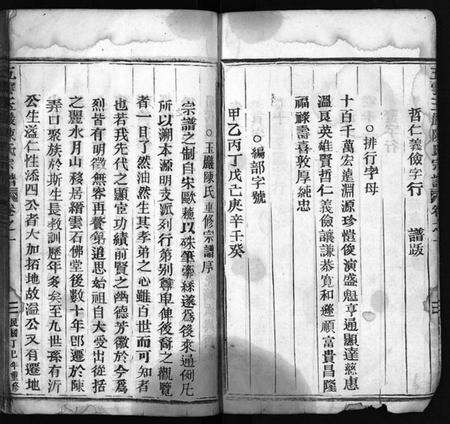 浙江陈氏族谱-五云玉岩陈氏宗谱 [13卷].pdf电子版预览图3