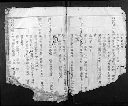 浙江施氏族谱-五云甘罗施氏宗谱.pdf电子版预览图1