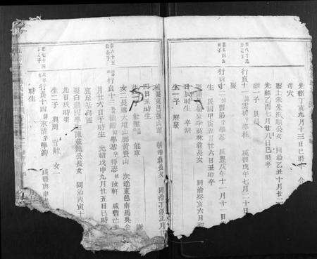 浙江施氏族谱-五云甘罗施氏宗谱.pdf电子版预览图2