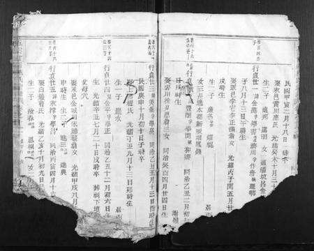 浙江施氏族谱-五云甘罗施氏宗谱.pdf电子版预览图4