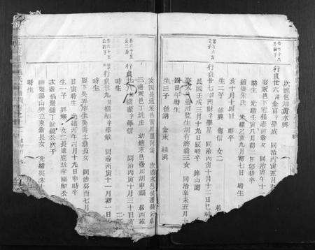 浙江施氏族谱-五云甘罗施氏宗谱.pdf电子版预览图5