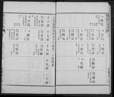 湖北蔡氏族谱-蔡氏宗谱.pdf电子版预览图5