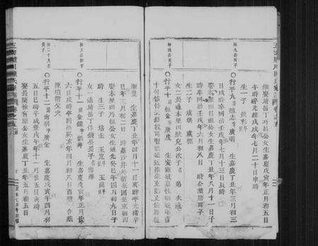浙江陈氏族谱-五云胪川陈氏宗谱 [残卷].pdf电子版预览图4