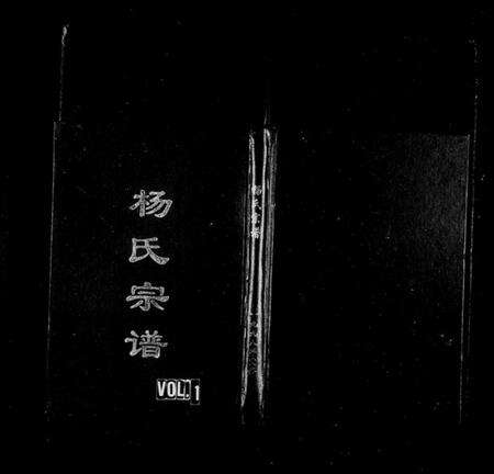 浙江杨氏族谱-五云贾坑杨氏宗谱.pdf电子版缩略图