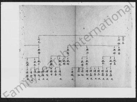 湖南曾氏族谱-曾氏四房五房草谱.pdf电子版预览图4