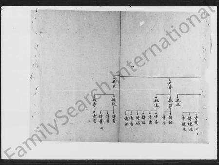 湖南曾氏族谱-曾氏四房五房草谱.pdf电子版预览图5