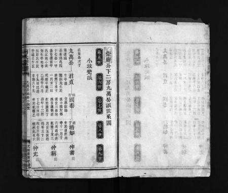 浙江何氏族谱-何氏宗谱 [不分卷].pdf电子版预览图1