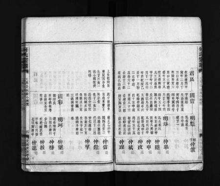 浙江何氏族谱-何氏宗谱 [不分卷].pdf电子版预览图4