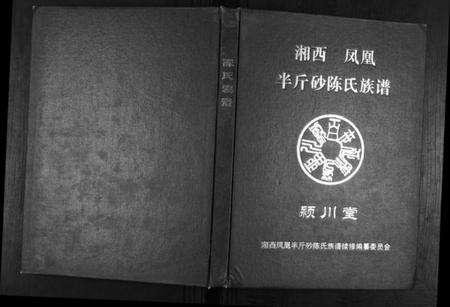 湖南陈氏族谱-半斤砂陈氏族谱.pdf电子版缩略图