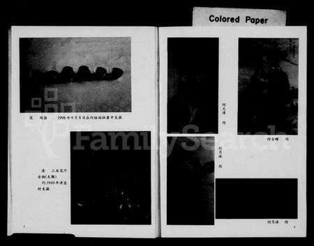 浙江何氏族谱-何麻车村志[何氏].pdf电子版预览图3