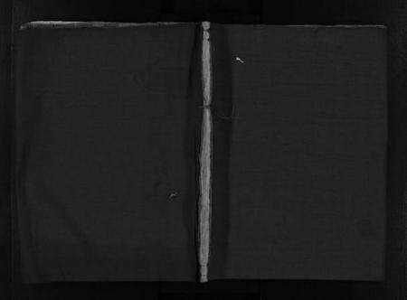 浙江余氏族谱-余氏宗谱 [不分卷].pdf电子版缩略图