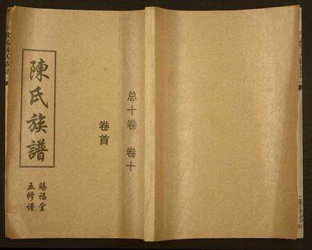 湖南陈氏族谱-武陵陈氏族谱.pdf电子版缩略图