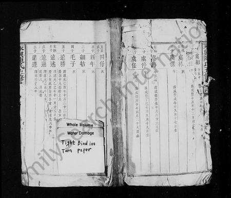 湖南陈氏族谱-永兴陈氏五修族谱 [残卷].pdf电子版缩略图