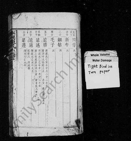 湖南陈氏族谱-永兴陈氏五修族谱 [残卷].pdf电子版预览图1