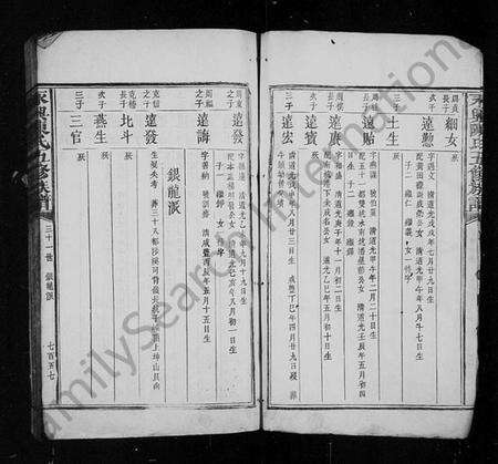 湖南陈氏族谱-永兴陈氏五修族谱 [残卷].pdf电子版预览图3