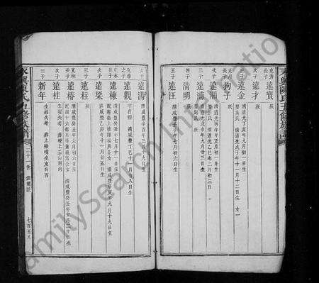 湖南陈氏族谱-永兴陈氏五修族谱 [残卷].pdf电子版预览图4