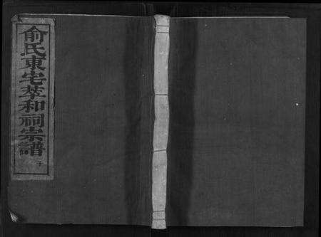 浙江俞氏族谱-俞氏静安坊东宅二房宗谱[12卷,首1卷].pdf电子版缩略图