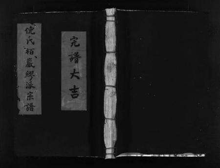 浙江多姓氏族谱-倪氏栢岩缪派宗谱 [不分卷].pdf电子版缩略图