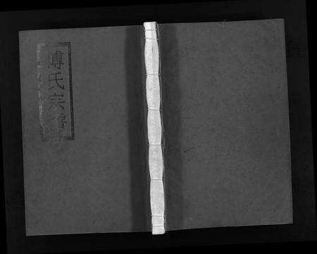 浙江傅氏族谱-傅氏宗谱[1册].pdf电子版缩略图