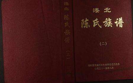 湖南陈氏族谱-漊北陈氏族谱.pdf电子版缩略图