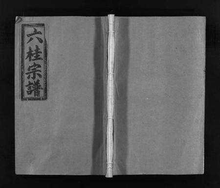 浙江多姓氏族谱-六桂堂联环宗谱 [不分卷].pdf电子版缩略图