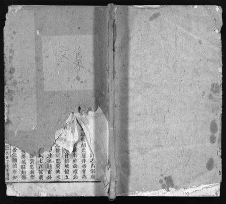 浙江胡氏族谱-前山胡氏家乘 [存32卷].pdf电子版缩略图