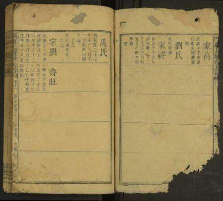 湖南陈氏族谱-义门陈氏续修族谱 [21卷及卷首].pdf电子版预览图1