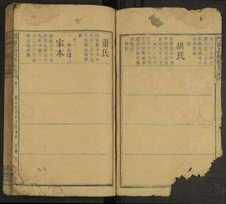 湖南陈氏族谱-义门陈氏续修族谱 [21卷及卷首].pdf电子版预览图2