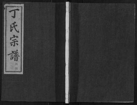 浙江丁氏族谱-剡城丁氏宗谱[8卷].pdf电子版缩略图