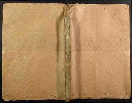 浙江卢氏族谱-剡东范阳卢氏宗谱.pdf电子版缩略图