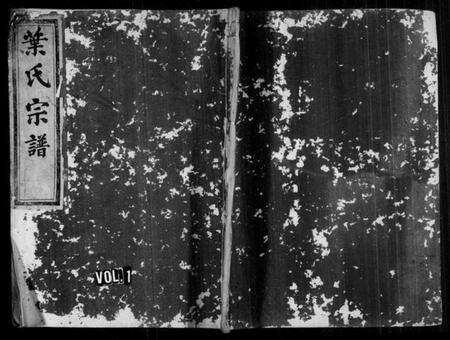 浙江叶氏族谱-剡东叶氏宗谱 [2卷].pdf电子版预览图1