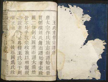 浙江王氏族谱-剡西琅琊王氏宗谱.pdf电子版预览图1