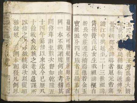 浙江王氏族谱-剡西琅琊王氏宗谱.pdf电子版预览图2