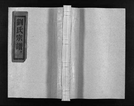 浙江刘氏族谱-刘氏宗谱 [9卷].pdf电子版缩略图