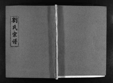 浙江刘氏族谱-刘氏宗谱 [不分卷].pdf电子版缩略图