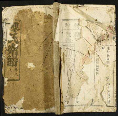 中国陈氏族谱-陈氏宗谱.pdf电子版缩略图