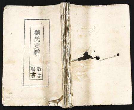 浙江刘氏族谱-刘氏支谱.pdf电子版缩略图