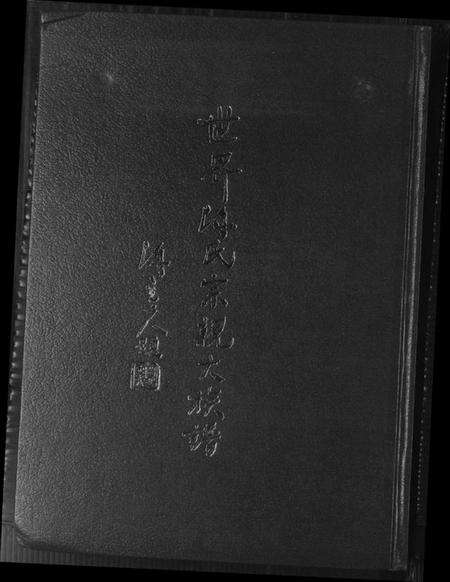 中国陈氏族谱-世界陈氏宗亲大族谱.pdf电子版缩略图