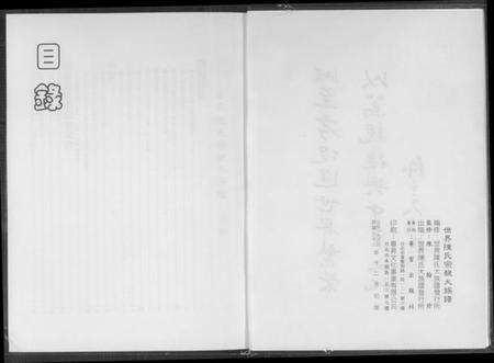 中国陈氏族谱-世界陈氏宗亲大族谱.pdf电子版预览图2